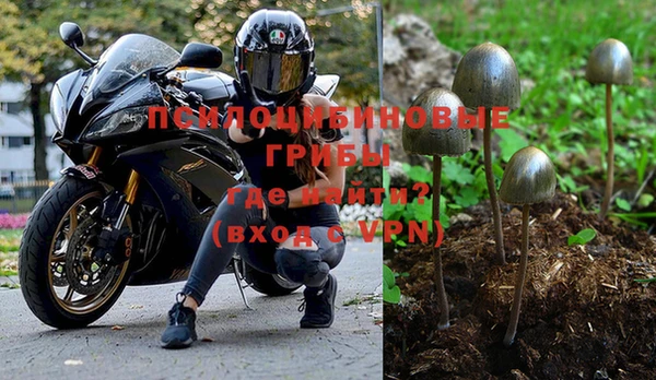 spice Куйбышев