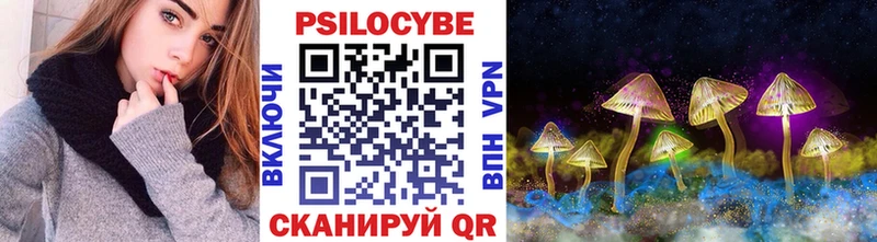 Галлюциногенные грибы Psilocybine cubensis  Яхрома 